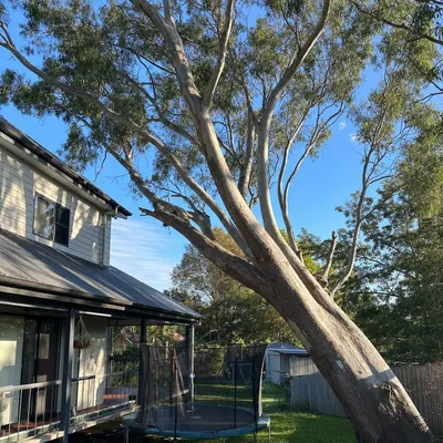 Before: Leaning gum rigged down off a brick home, Frankston