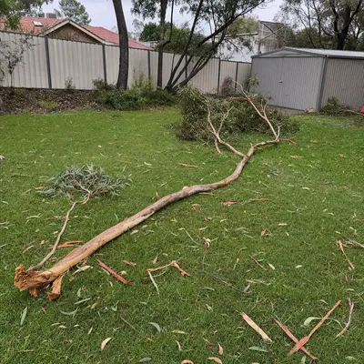 Before: Limb down after a bay blow, Frankston