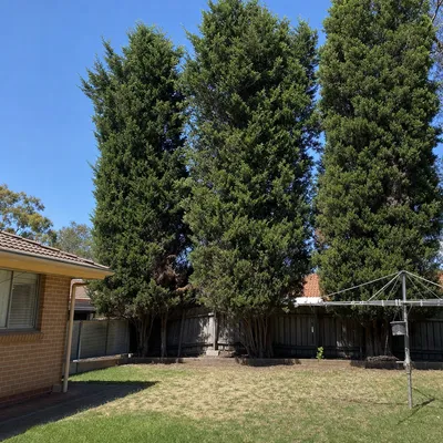 Before: Salt-battered cypress screen taken out, Frankston