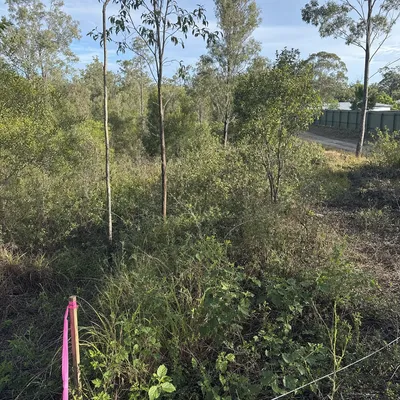 Before: Block cleared for a building permit, Frankston