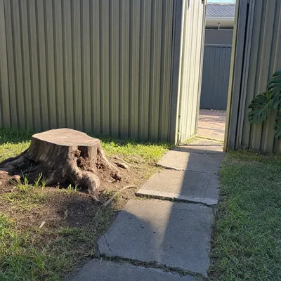 Before: Stump ground out through a tight side gate, Frankston