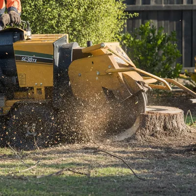 Stump Grinding in Frankston. Stumps ground out below the surface so you can returf, repave or replant. Narrow machines that slip through a standard side gate.