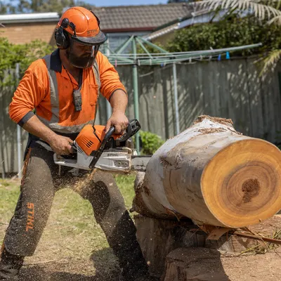 Tree Removal in Frankston. Dead, dying or unwanted trees felled whole where there is room, or dismantled piece by piece around roofs, fences and powerlines. Any size, quoted in writing.