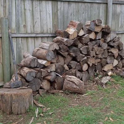 Logs cut and stacked for firewood, Frankston